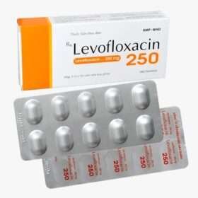 Levofloxacin 250